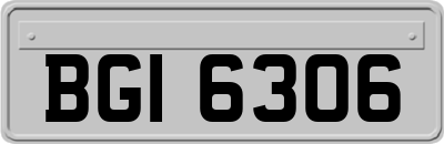 BGI6306