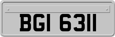 BGI6311