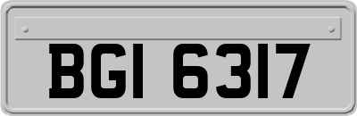 BGI6317