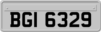 BGI6329