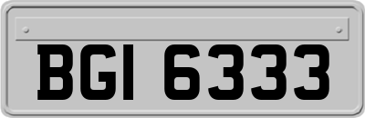BGI6333