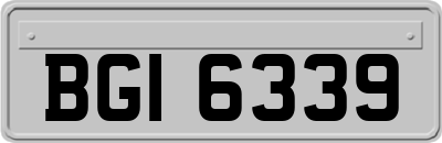 BGI6339