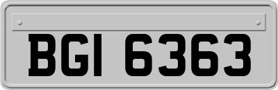 BGI6363