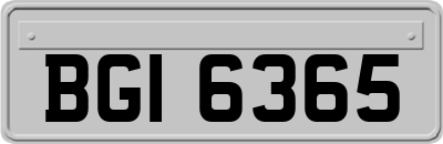 BGI6365
