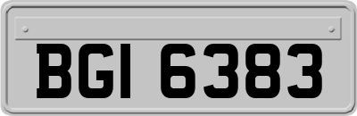 BGI6383