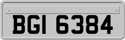 BGI6384