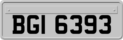 BGI6393