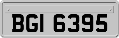 BGI6395