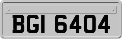 BGI6404