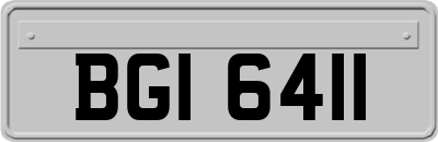 BGI6411