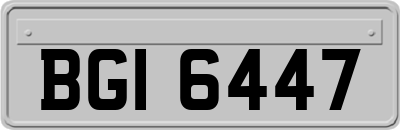 BGI6447