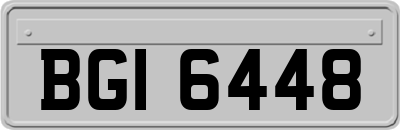 BGI6448
