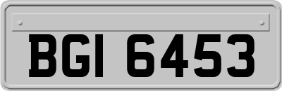 BGI6453