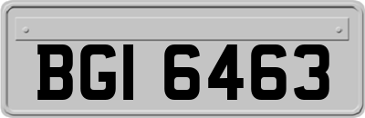 BGI6463