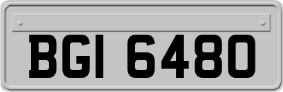 BGI6480