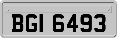 BGI6493
