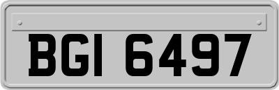 BGI6497