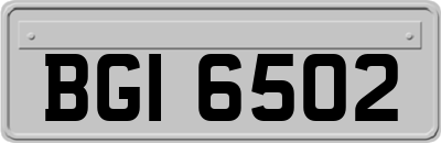 BGI6502
