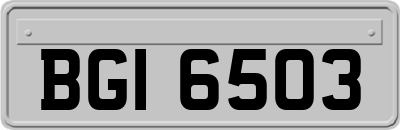 BGI6503