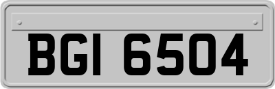 BGI6504