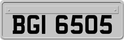 BGI6505