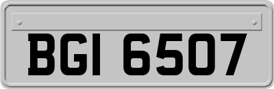 BGI6507