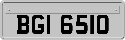BGI6510