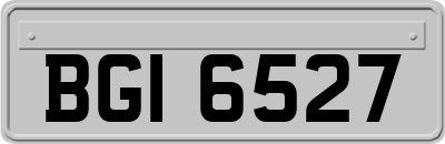 BGI6527