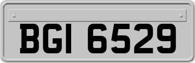 BGI6529