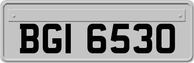 BGI6530