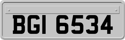 BGI6534