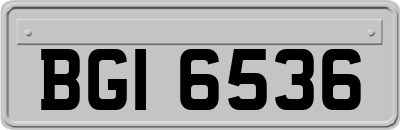 BGI6536