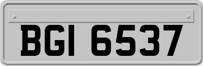 BGI6537