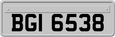 BGI6538