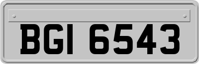 BGI6543