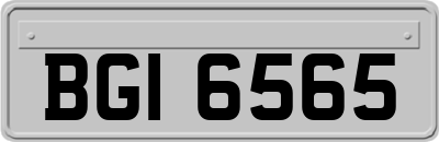 BGI6565