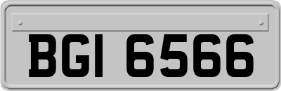 BGI6566