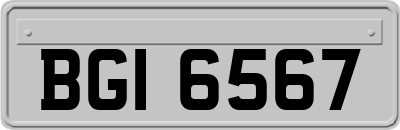 BGI6567