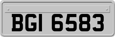 BGI6583
