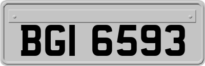 BGI6593