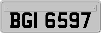 BGI6597