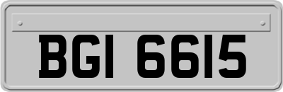 BGI6615