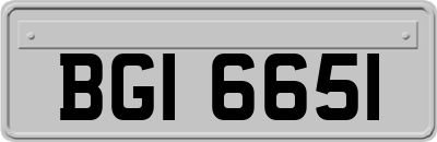 BGI6651