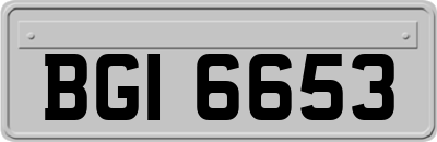 BGI6653