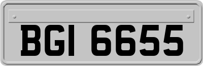 BGI6655