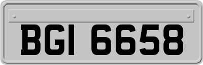 BGI6658