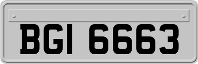 BGI6663