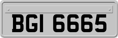 BGI6665