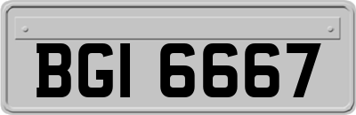 BGI6667