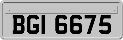 BGI6675